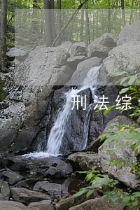 刑法综合预防 刑法综合预防