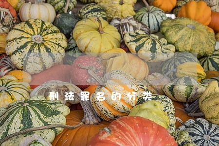 刑法罪名的分类 刑法罪名的分类