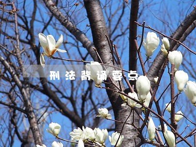 刑法背诵要点 刑法背诵要点
