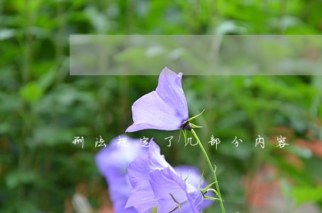刑法规定了几部分内容 刑法规定了几部分内容