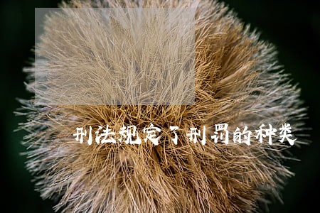 刑法规定了刑罚的种类 刑法规定了刑罚的种类