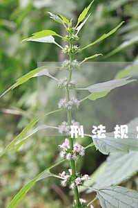 刑法规定伪造货币 刑法规定伪造货币