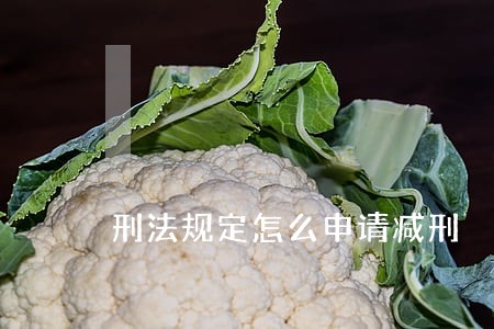 刑法规定怎么申请减刑