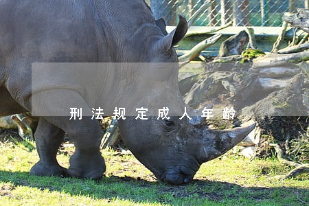 刑法规定成人年龄