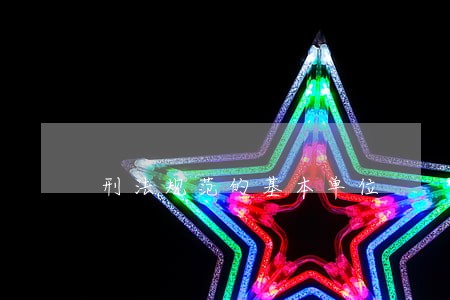 刑法规范的基本单位 刑法规范的基本单位