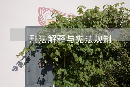 刑法解释与宪法规制