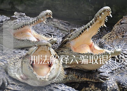 刑法解释六骗取银行贷款罪 刑法解释六骗取银行贷款罪
