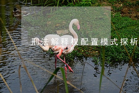 刑法解释权配置模式探析 刑法解释权配置模式探析