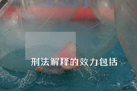 刑法解释的效力包括 刑法解释的效力包括