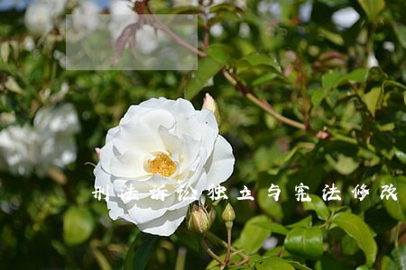 刑法诉讼独立与宪法修改二 刑法诉讼独立与宪法修改二