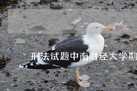 刑法试题中南财经大学期末 刑法试题中南财经大学期末
