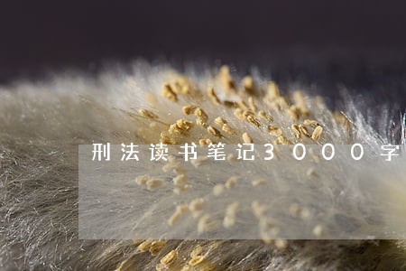 刑法读书笔记3000字