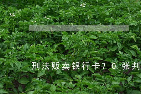 刑法贩卖银行卡70张判多少年 刑法贩卖银行卡70张判多少年