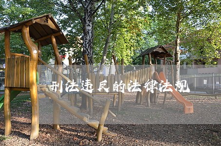 刑法违反的法律法规 刑法违反的法律法规