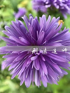 刑法追诉时效之问 刑法追诉时效之问