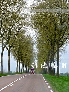 刑法适用中个案解释之合理性分析 刑法适用中个案解释之合理性分析