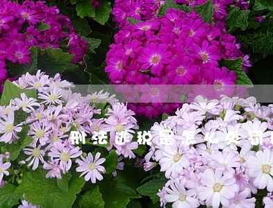 刑法逃税是怎么处罚的 刑法逃税是怎么处罚的