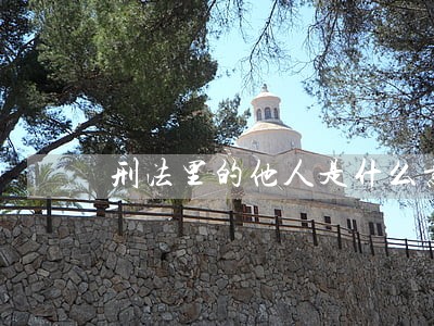 刑法里的他人是什么意思 刑法里的他人是什么意思