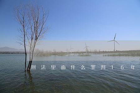 刑法里面什么罪判16年