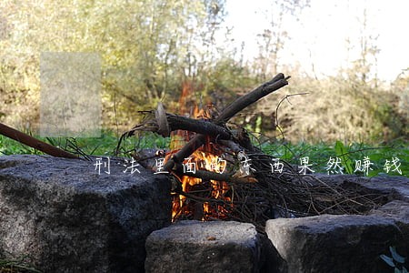 刑法里面的东西果然赚钱