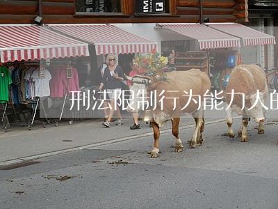 刑法限制行为能力人的年龄 刑法限制行为能力人的年龄