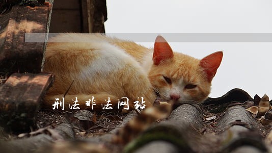 刑法非法网站
