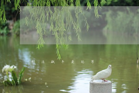 刑法飙车是犯罪 刑法飙车是犯罪