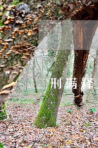 刑满释放信用卡逾期记录 刑满释放信用卡逾期记录