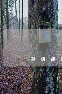 刑讯违法归什么部门管 刑讯违法归什么部门管