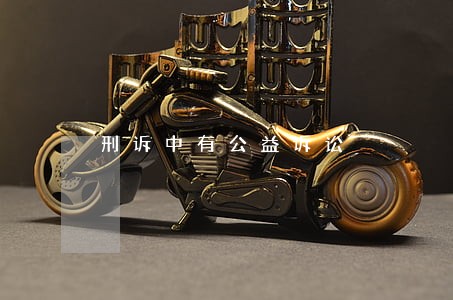 刑诉中有公益诉讼 刑诉中有公益诉讼