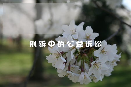 刑诉中的公益诉讼 刑诉中的公益诉讼