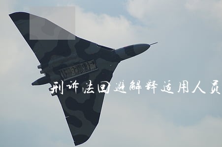 刑诉法回避解释适用人员 刑诉法回避解释适用人员