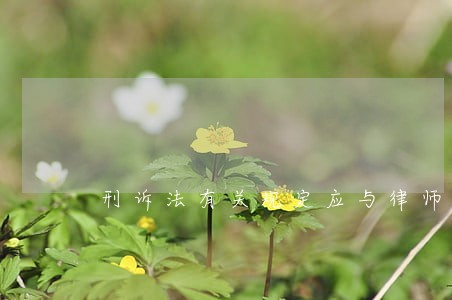 刑诉法有关规定应与律师法相衔接 刑诉法有关规定应与律师法相衔接