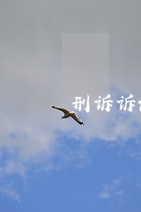 刑诉诉讼参加人与诉讼参与人 刑诉诉讼参加人与诉讼参与人