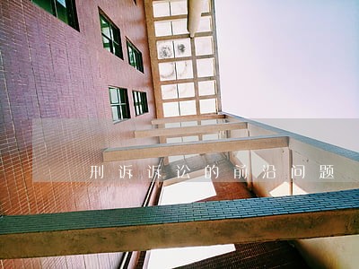 刑诉诉讼的前沿问题 刑诉诉讼的前沿问题