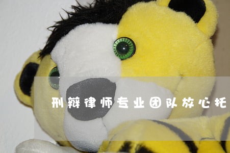 刑辩律师专业团队放心托付