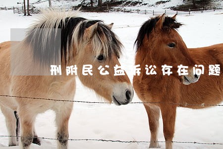 刑附民公益诉讼存在问题 刑附民公益诉讼存在问题