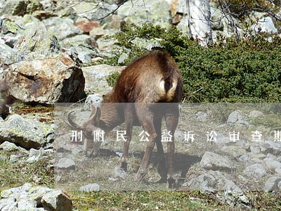 刑附民公益诉讼审查期限 刑附民公益诉讼审查期限