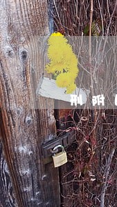 刑附民公益诉讼疑难问题探析