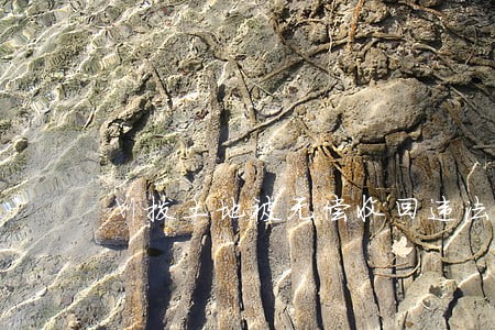 划拨土地被无偿收回违法 划拨土地被无偿收回违法