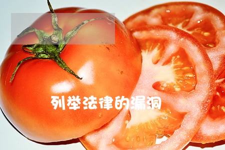 列举法律的漏洞 列举法律的漏洞