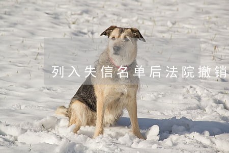列入失信名单后法院撤销裁定 列入失信名单后法院撤销裁定