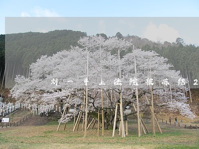刘一手上法院被冻结2325万 刘一手上法院被冻结2325万