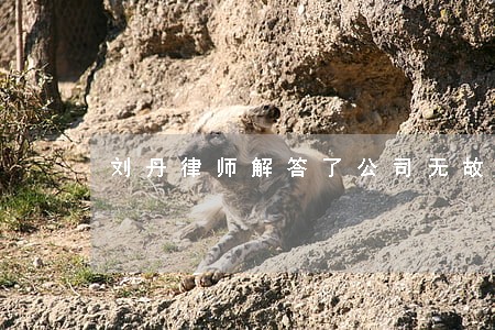 刘丹律师解答了公司无故解雇员工 刘丹律师解答了公司无故解雇员工