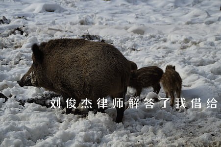 刘俊杰律师解答了我借给朋友