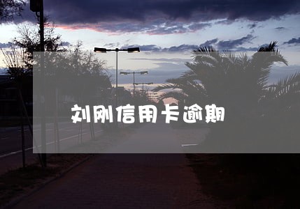 刘刚信用卡逾期 刘刚信用卡逾期