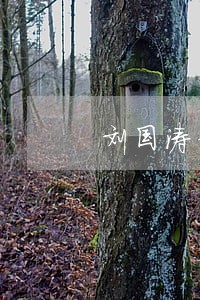 刘国涛律师解答了您好 刘国涛律师解答了您好