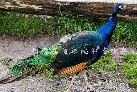刘奇在省法院和省检察院走访调研 刘奇在省法院和省检察院走访调研