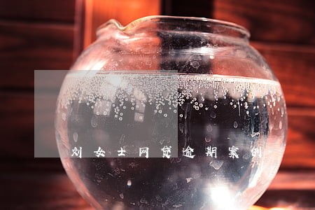 刘女士网贷逾期案例 刘女士网贷逾期案例