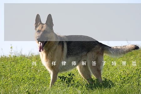 刘宝祥律师解答了特警滥用职权 刘宝祥律师解答了特警滥用职权
